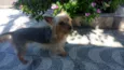 Sidy