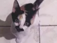 Não tem nome