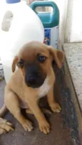 eros