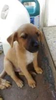 eros