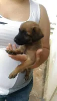 eros
