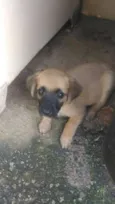 eros