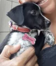 Menina