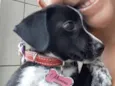 Menina