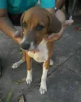 Mel
