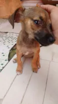 Não tem nome