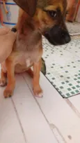 Não tem nome