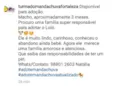 Loló