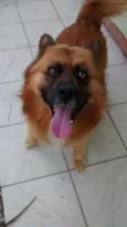 Puck