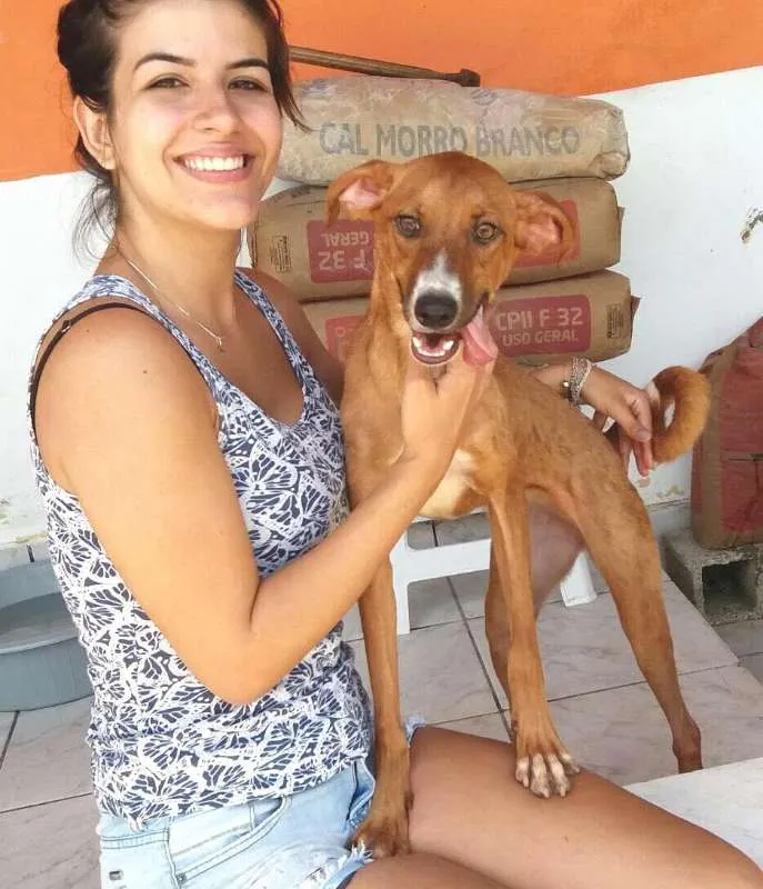 Cachorro ra a  idade 1 ano nome Nutella