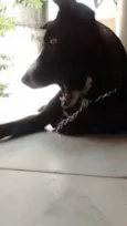 Sophie