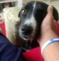 Sophie