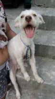 Alf