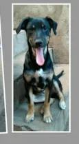 Luiza