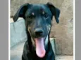 Luiza