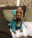 Lily
