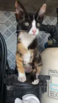 Mia