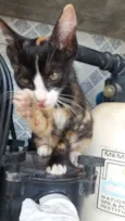 Mia