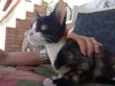Mia