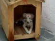 Nina