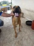 Não Define 