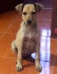 Não coloquei 