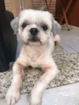 DUDU