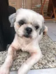 DUDU