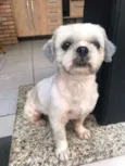DUDU