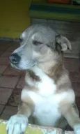 FREDERICO