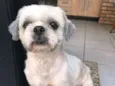 DUDU