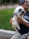 Frederico 