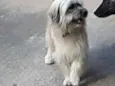 Frederico 