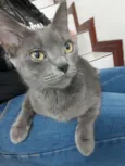 Tempestade
