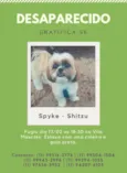 Spyke