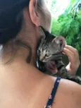 Simba