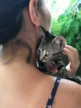Simba