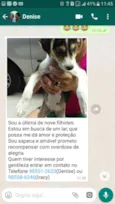 Belina