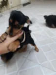 Luna &Jack
