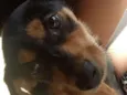 Luna &Jack