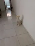 Marley 