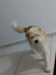Marley 
