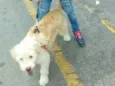 Marley 