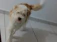 Marley 