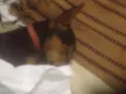 Baby 
