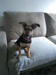 Tequila