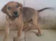 ainda sem nome