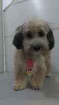 Ted 
