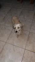 Ted 