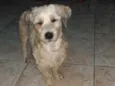Ted 